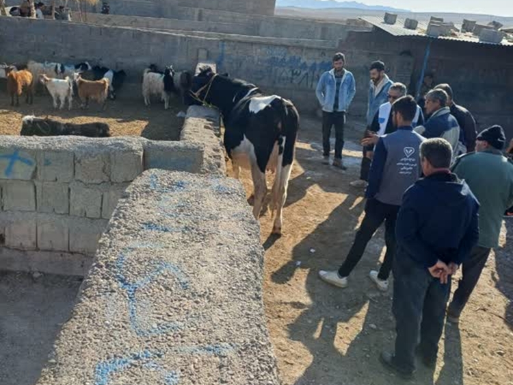 آموزش های میدانی بهره برداران در بازار دام شهرستان توسط کارشناسان شبکه دامپزشکی درگز